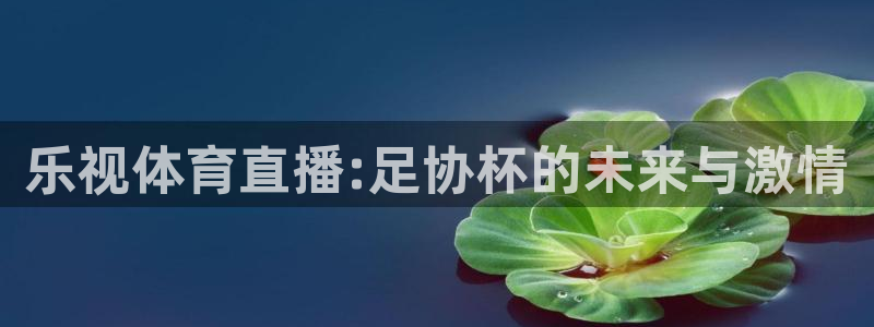 nba直播龙门：乐视体育直播:足协杯的未来与激情