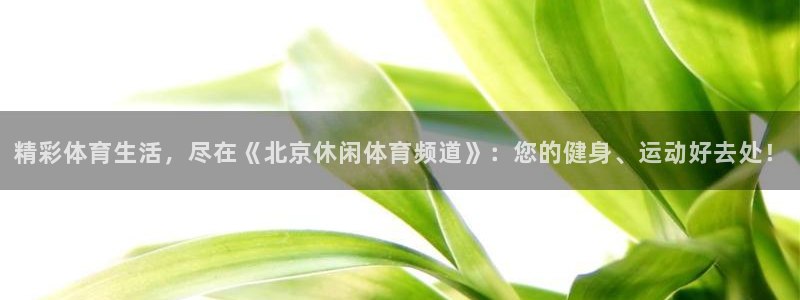 龙门镖局1.5在线观看免费完整版：精彩体育生活，尽在《北京休闲体育频道》：您的健身、运动好去处！