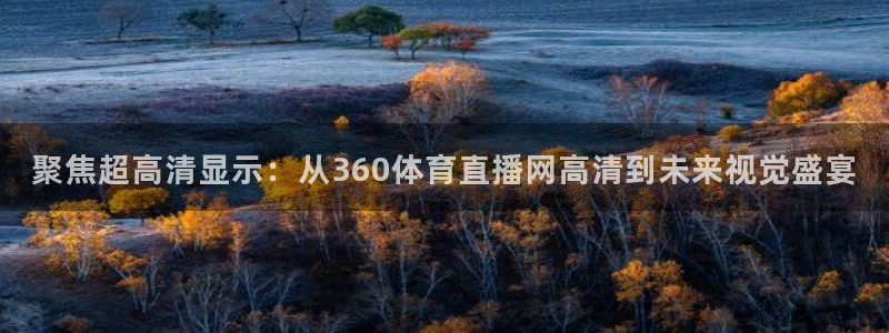 龙门飞甲哪个平台可以看：聚焦超高清显示：从360体育直播网高清到未来视觉盛宴