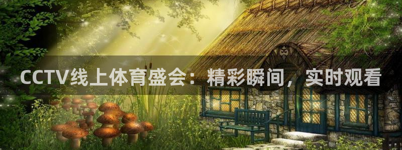 龙门直播体育直播：CCTV线上体育盛会：精彩瞬间，实时观看